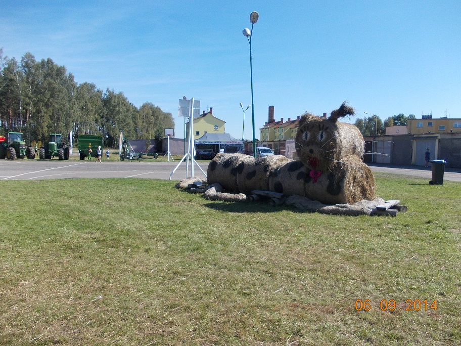 Dożynki 2014