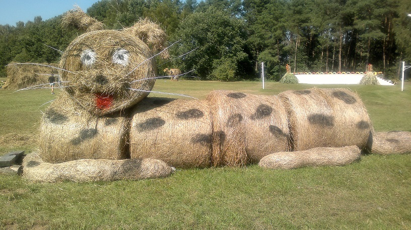 Dożynki 2014