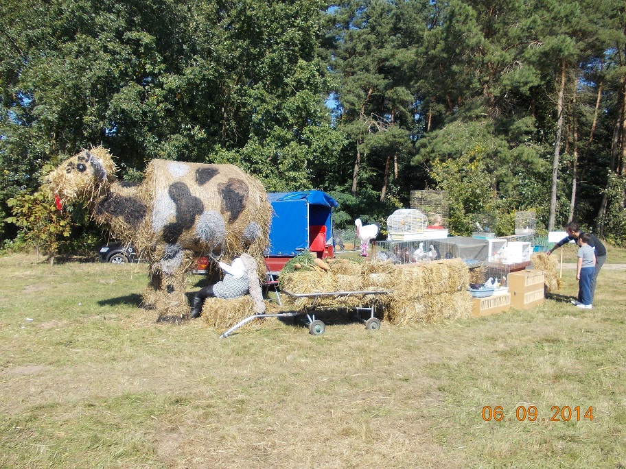 Dożynki 2014
